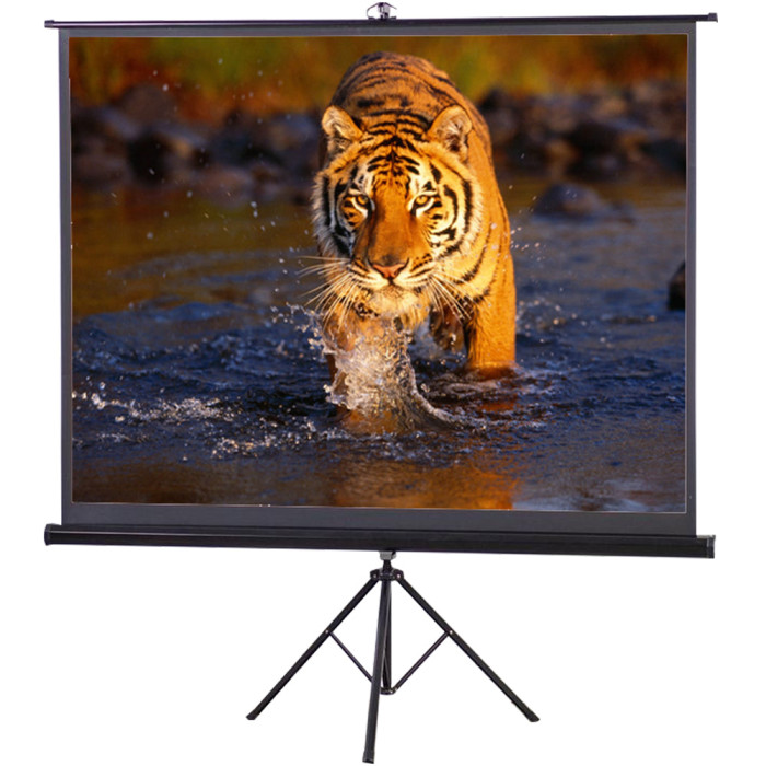 PROJECTOR SCREEN 120 PROJECTOR SCREEN 120