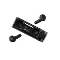 R-7005 Earbuds